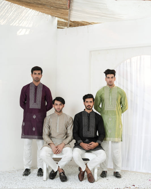 Regal Embroidered Kurta Set – Wedding Edition by Snug