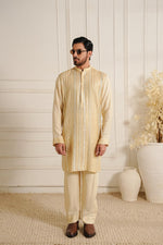 Foil Embroidered Kurta Trouser.